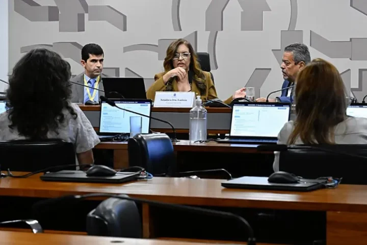 Dra. Eudócia na presidência dos trabalhos da subcomissão — Foto: Dra. Eudócia na