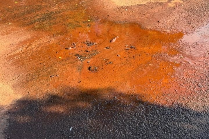 0c01adc1-a9d7-4056-9740-897ebf7cfd67_1