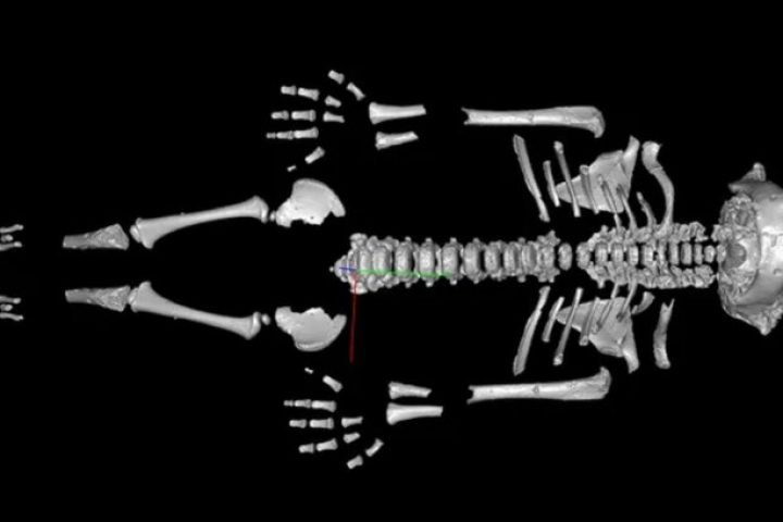 10y1adwsz66wza02xu4fpjip0