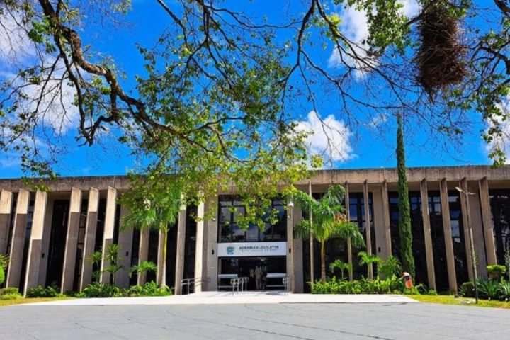 Sessões plenárias são transmitidas ao vivo pelos canais oficiais da Casa — Foto: