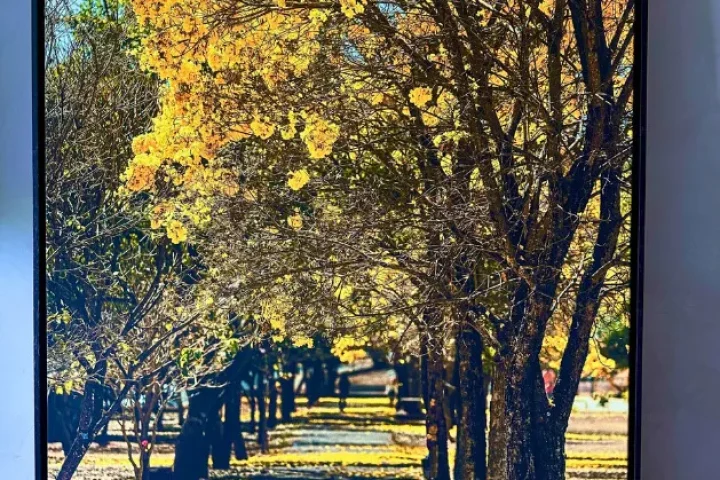 Foto: Brasília Mais Notícias