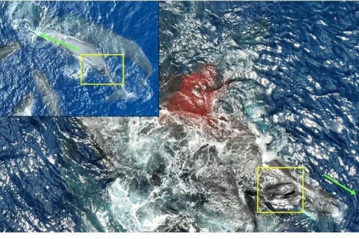 4hutrkbu7cfe5p74cxv1jcg19