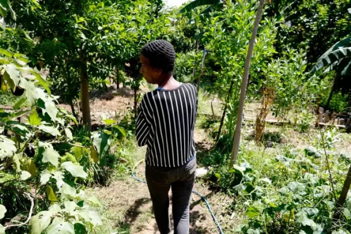 Foto: © Tânia Rêgo/Agência Brasil