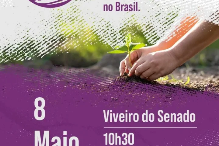 Foto: Brasília Mais Notícias