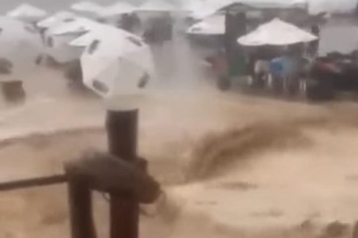 95walpzg1k781vamr4mjudubd