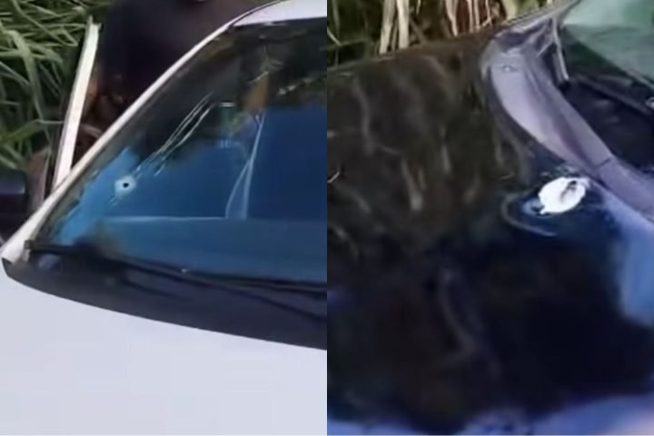 Veículos foram alvejados na tarde de sábado. — Foto: Veículos foram alvejados na