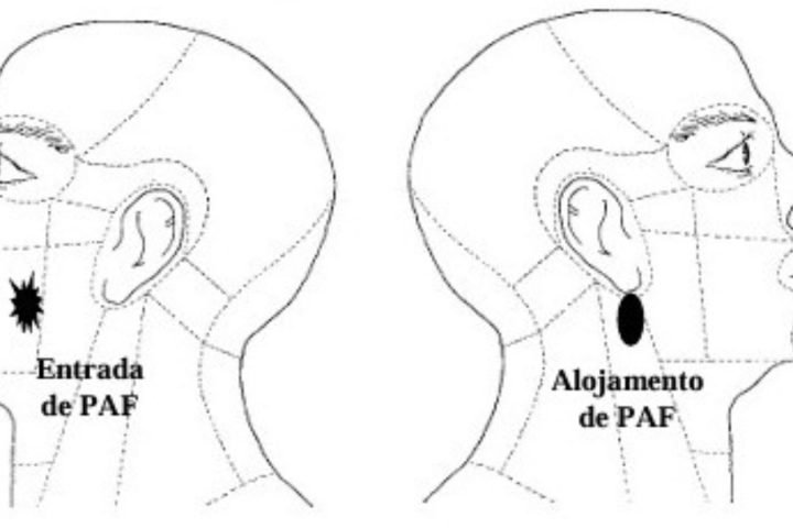 Foto: Laudo necroscópico obtido pelo Jornal Midiamax. (Reprodução)