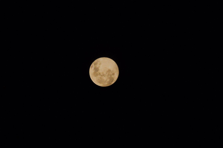 Lua Cheia visível em Campo Grande. — Foto: Lua Cheia visível em Campo Grande. (M
