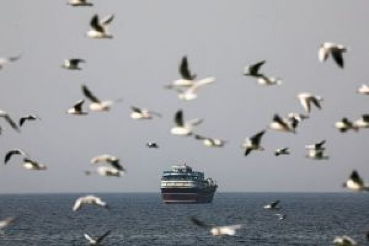 Navio_Estreito_Ormuz