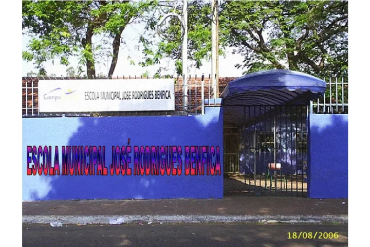 Novo-Projeto-5