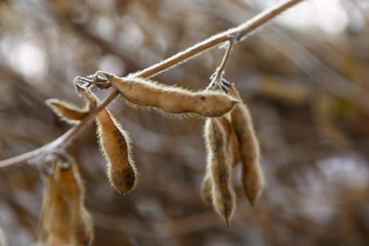 Feature image — Foto: Feature image