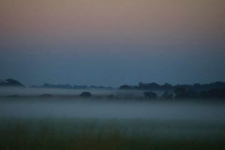 Tempo-frio-neblina-Foto-Alvaro-Rezende1-730x480-1