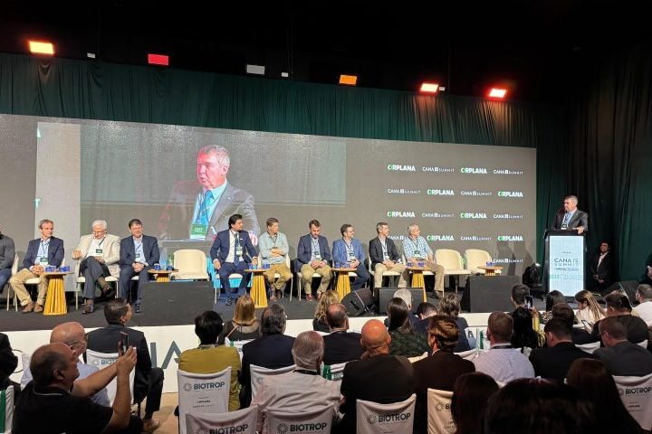 Foto: Feature image