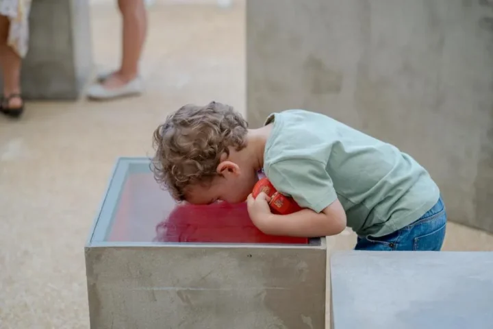 Foto: Brasília Mais Notícias