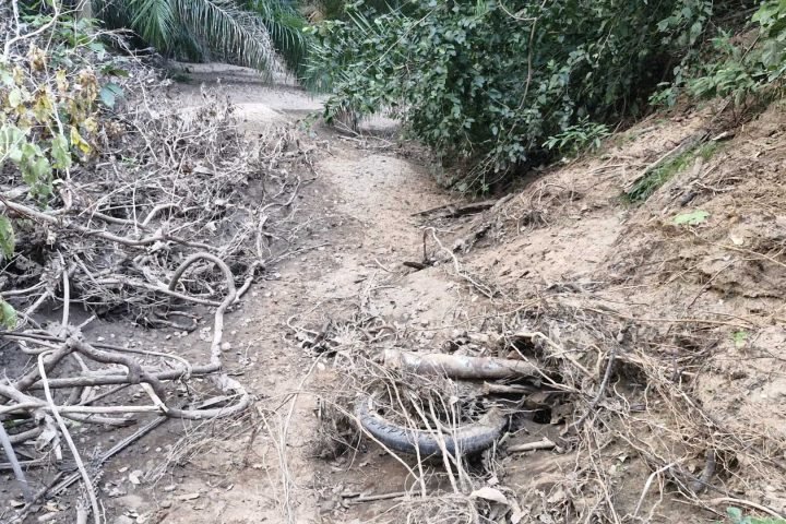 Fazendeiro achou ossada e roda de motocicleta. (Foto: Divulgação, PCMS)