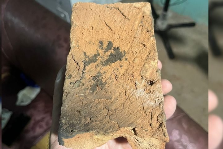 Tijolo utilizado no crime. — Foto: Tijolo utilizado no crime. (Foto: Fala Povo M