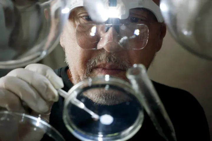 Foto: Brasília Mais Notícias