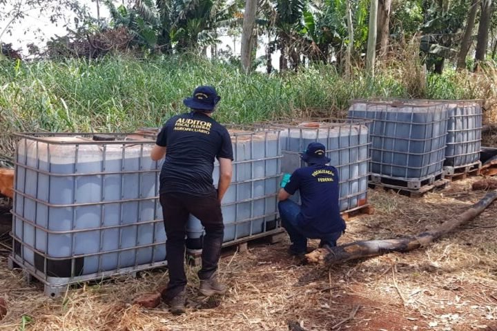 apreensao-agrotoxicos-730x480-1