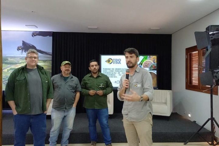 Foto: Feature image