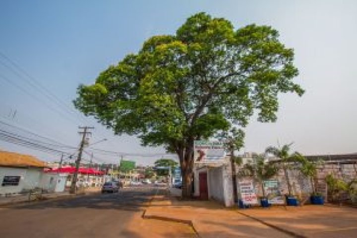 Foto: Prefeitura de Campo Grande
