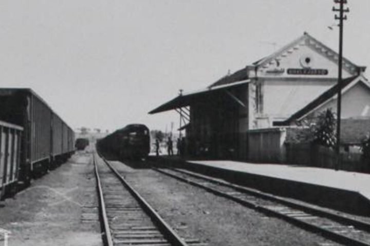 Foto: (Reprodução)