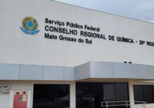 Foto: Conselho Regional de Química da 20ª Região (Divulgação)