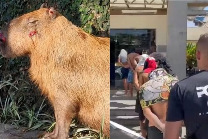 dkfjxakqqtpqg3cmnkkxhu51a