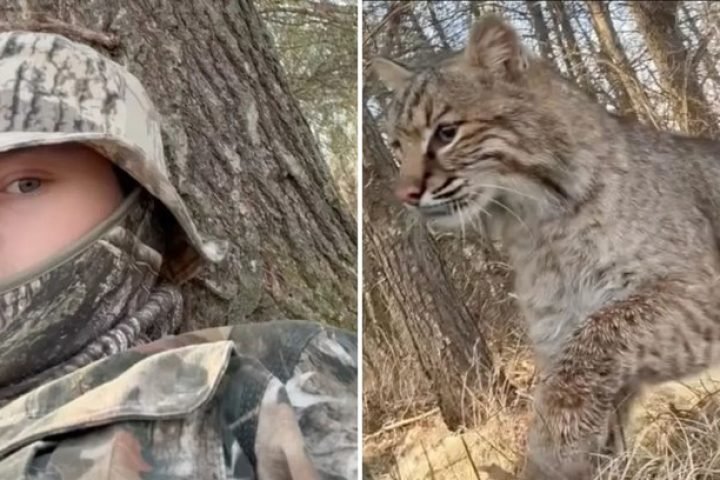 e1129io70fii7lxmna3a76r42