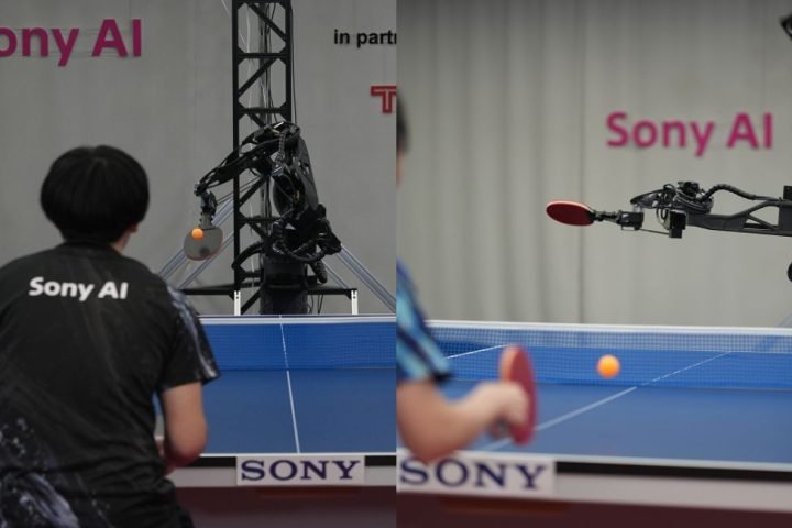 Foto: Design sem nome - 1