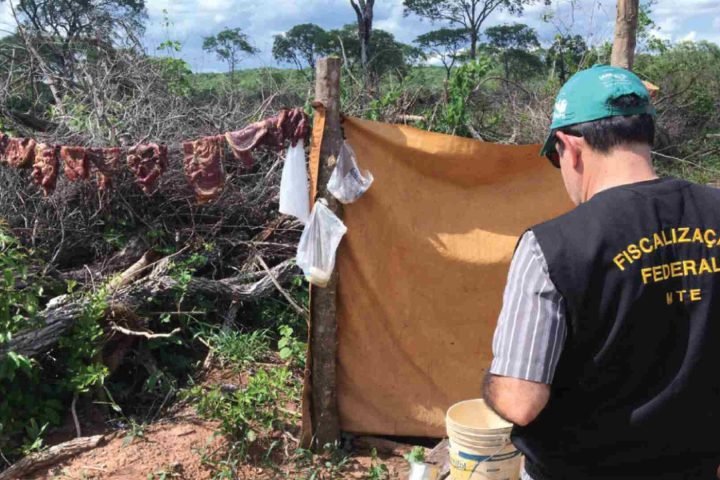 Fiscalização do MPT em fazenda denunciada por trabalho forçado em MS. — Foto: Fi