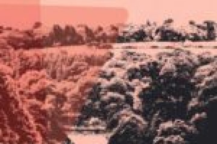 foto-floresta-matriz-150x150-1