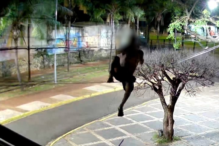 Ladrão se equilibrou entre fiação para chegar em poste. — Foto: Ladrão se equili