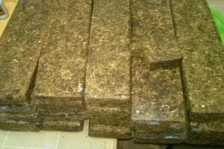 Foto: Ilustrativa. (Reprodução)