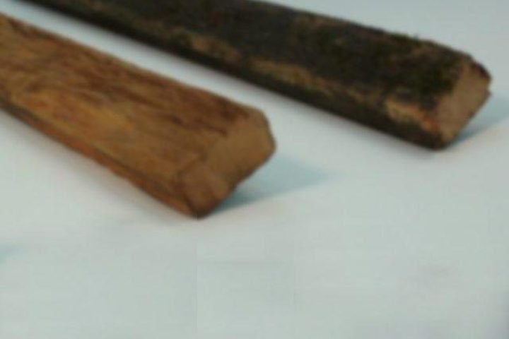 Mulher relatou que foi agredida com pedaço de madeira pelo irmão. — Foto: Mulher