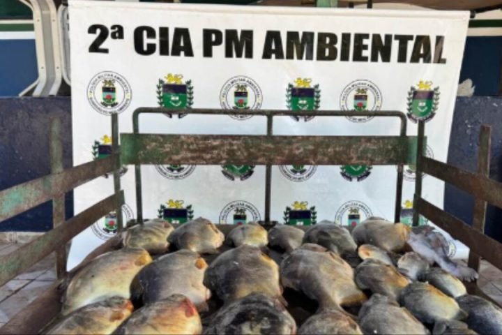 Foto: Pescado apreendido pela equipe. (Divulgação, PMA)