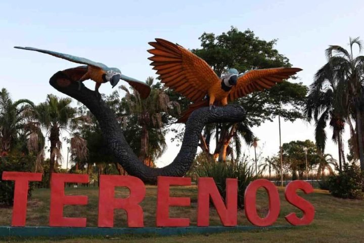 Foto: Acidente aconteceu na zona rural de Terenos, a 17 quilômetros de Campo Gra