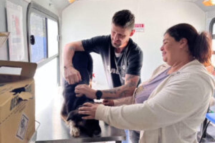Imagem do atendimento realizado em um animal. — Foto: Prefeitura de Campo Grande